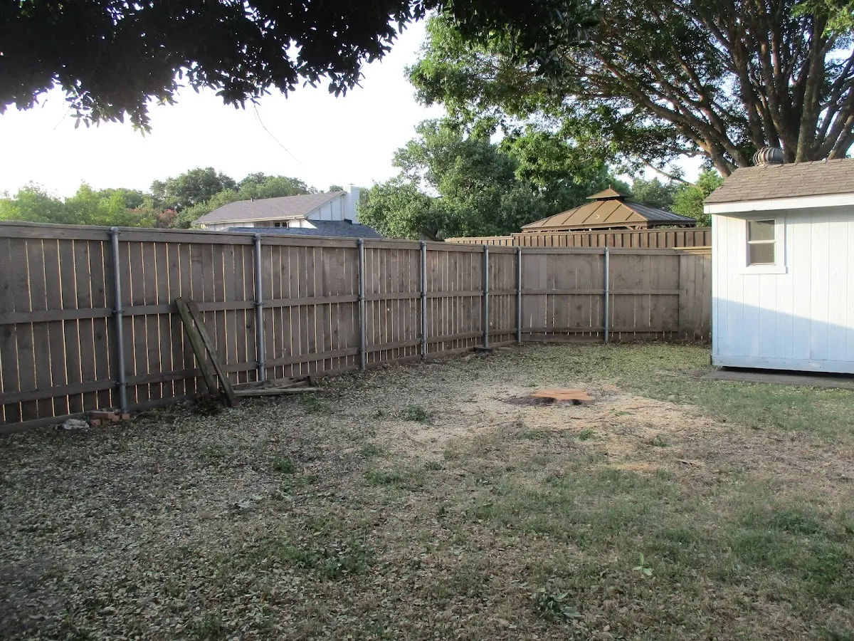 Cleared yard after professional tree removal in Sunderland